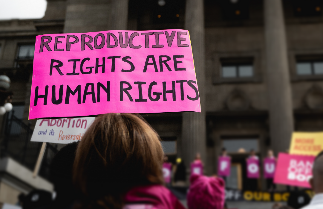 A protest sign that reads: 'Reproductive Rights are Human Rights'